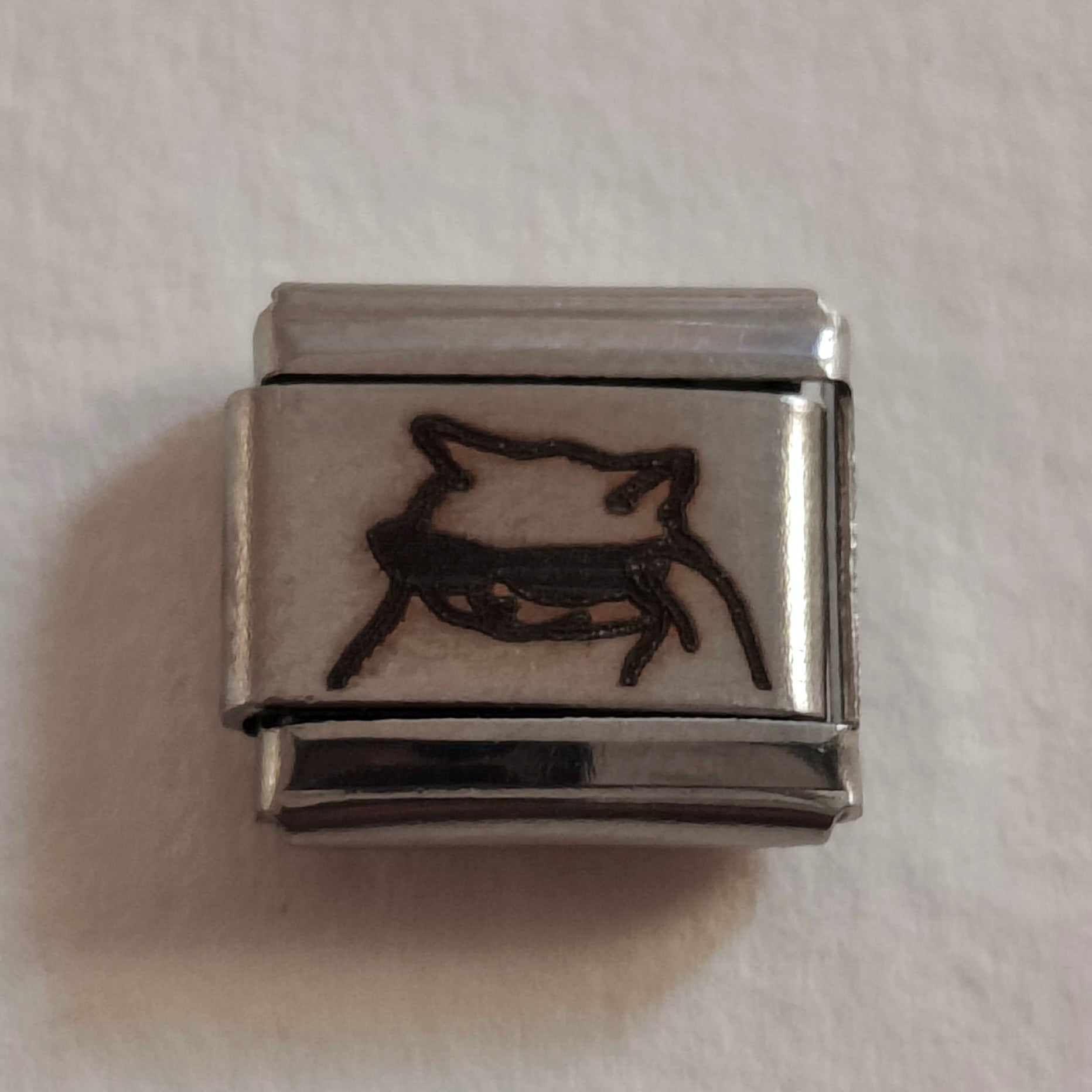 Cool Cat Charm