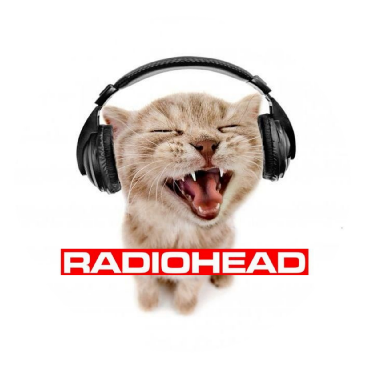 RadioHead Button Pin