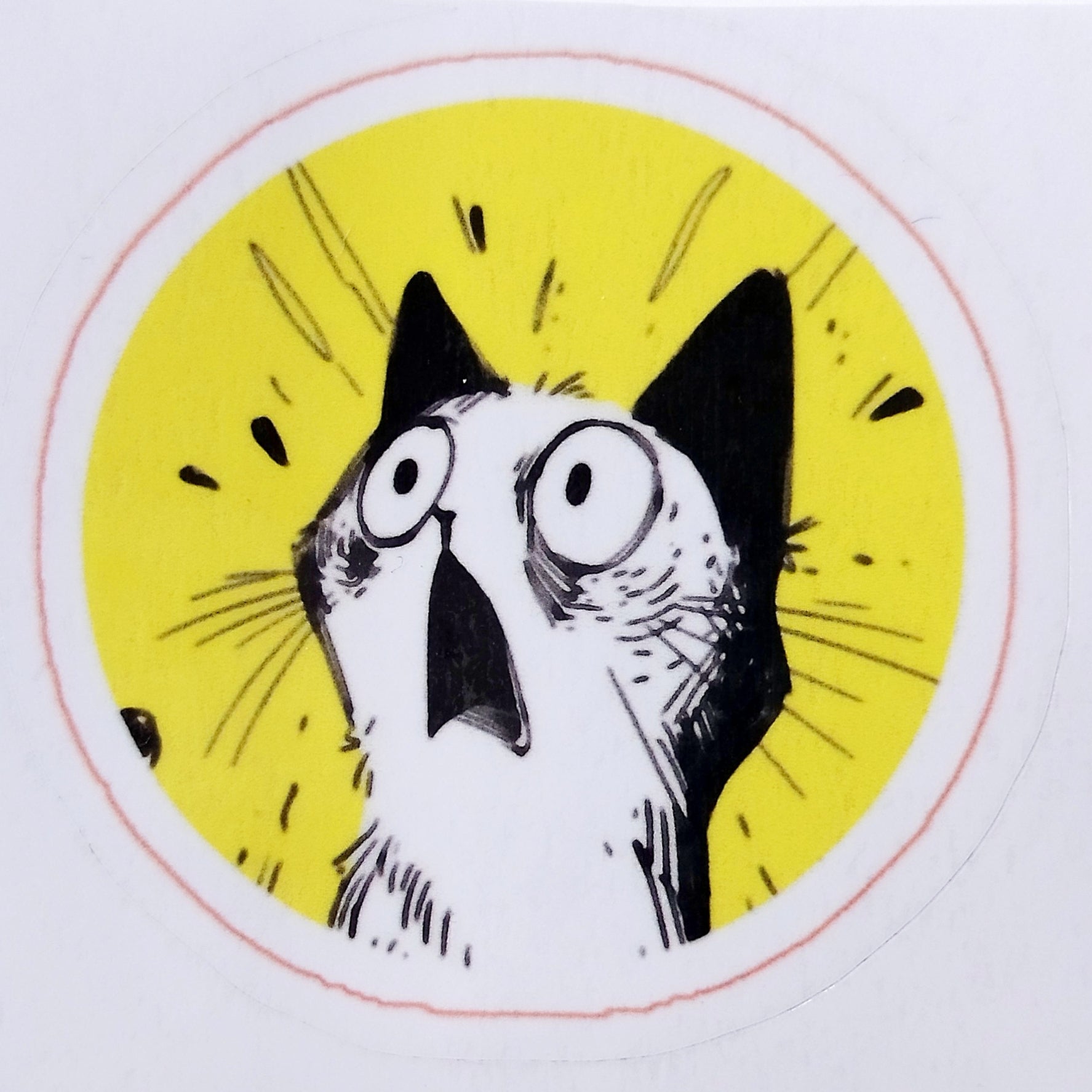 The White Screaming Cat Sticker