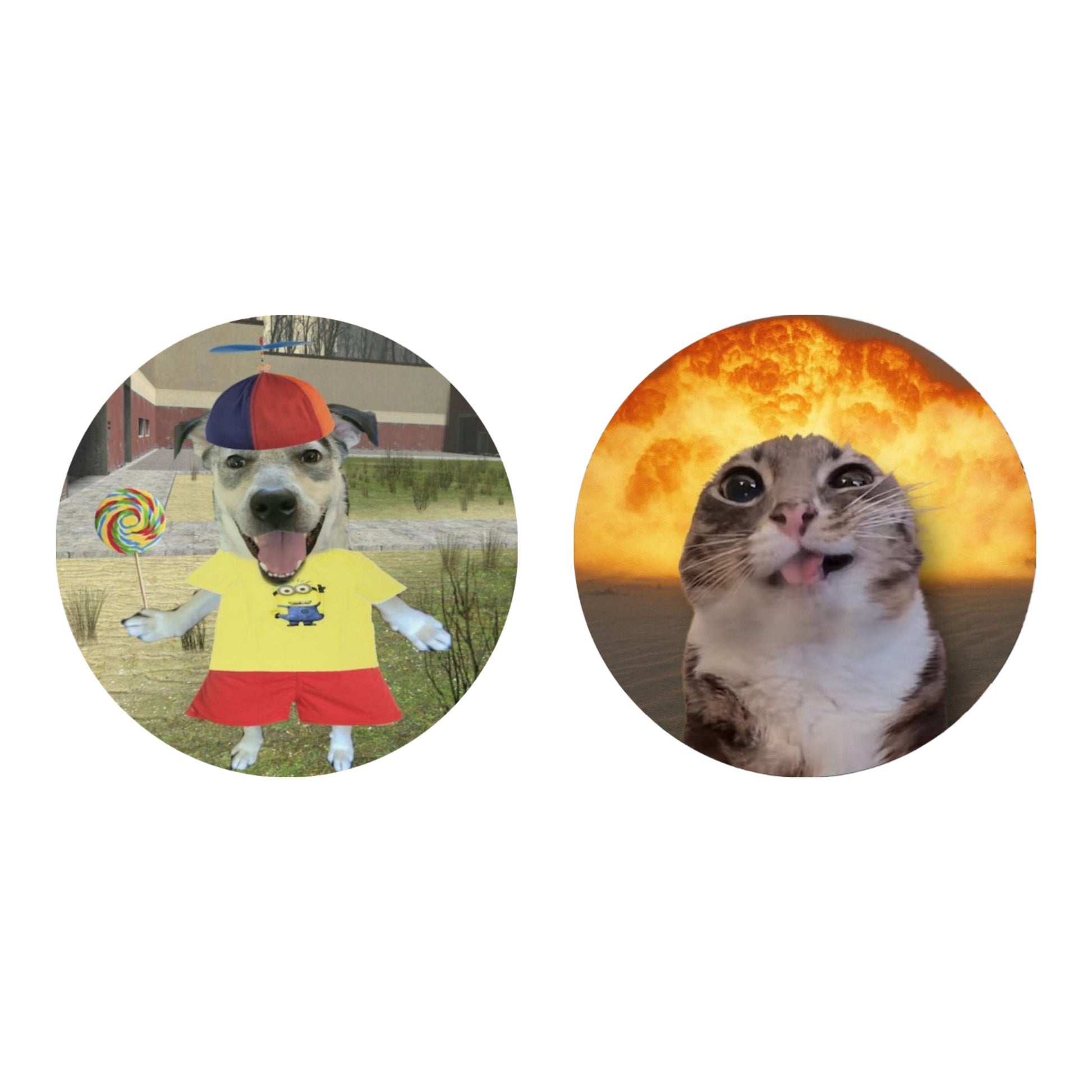 Silly Pets Matching Button Pins