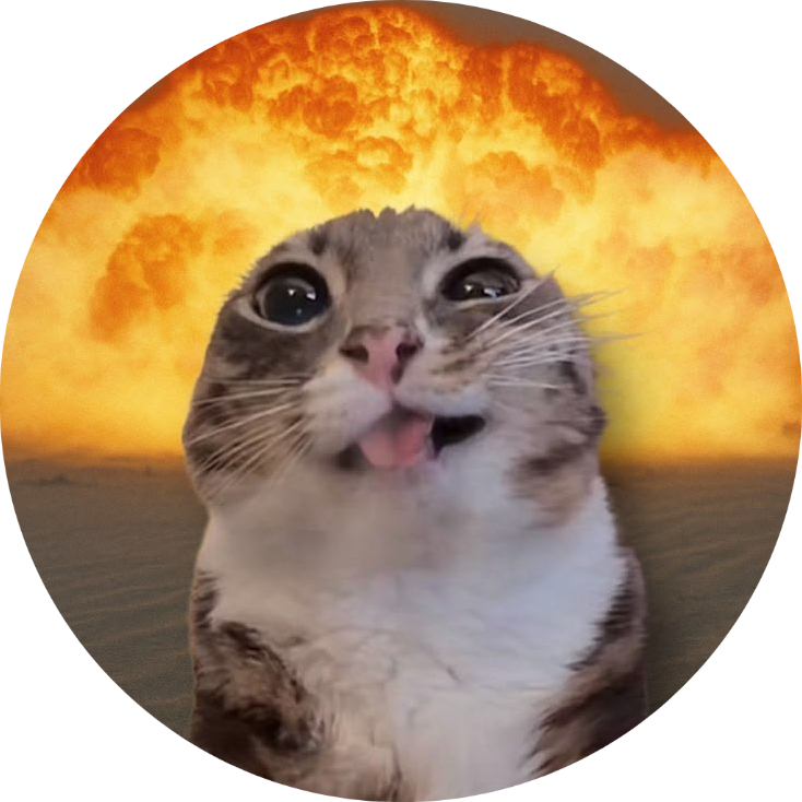 Silly Cat Button Pin