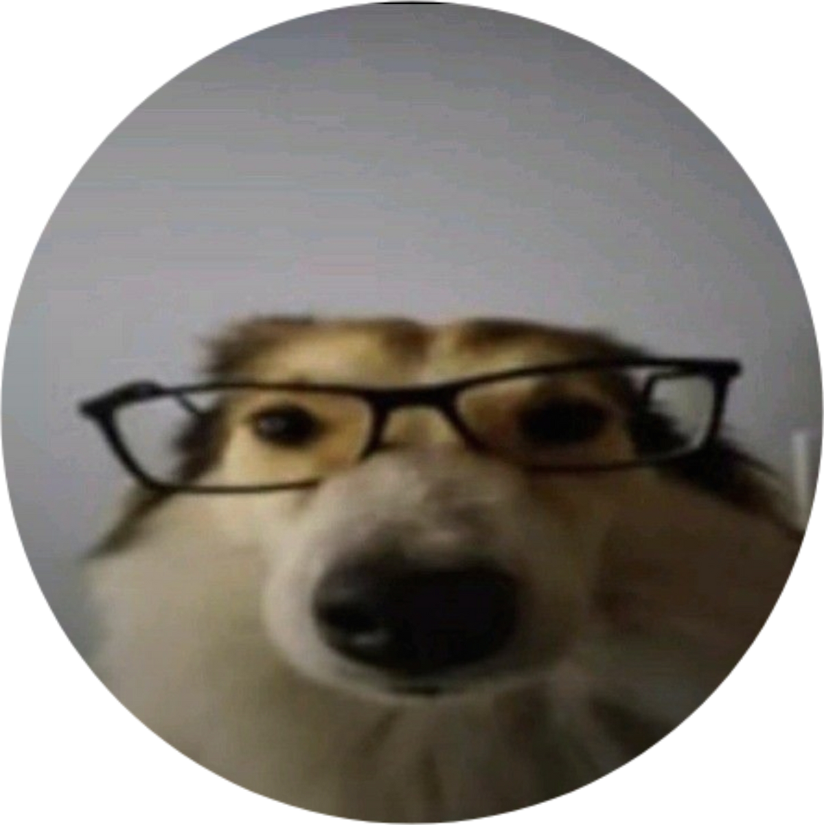 Smart Dog Button Pin
