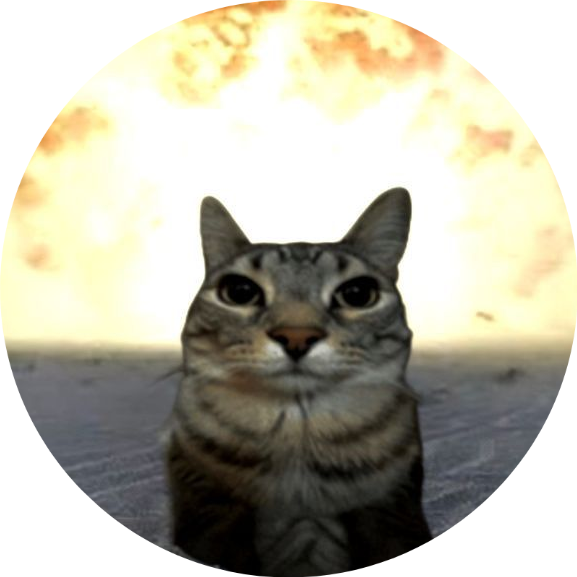 Zero regrets Cat Button Pin