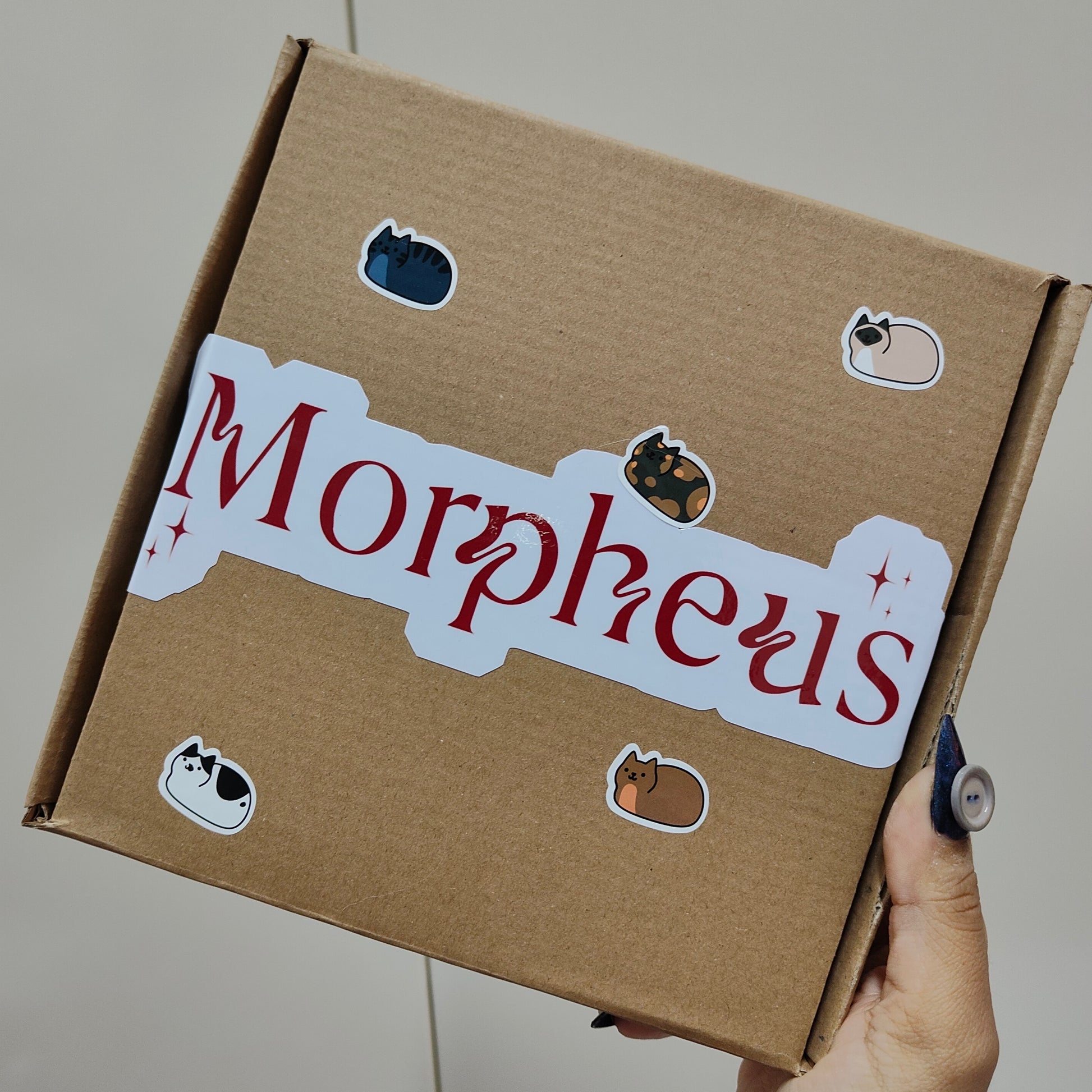 Morpheus Advent Calendar✨