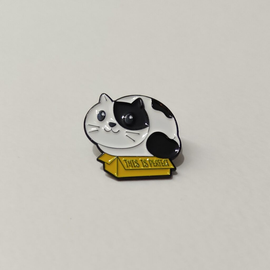 Cat in a Box Pin